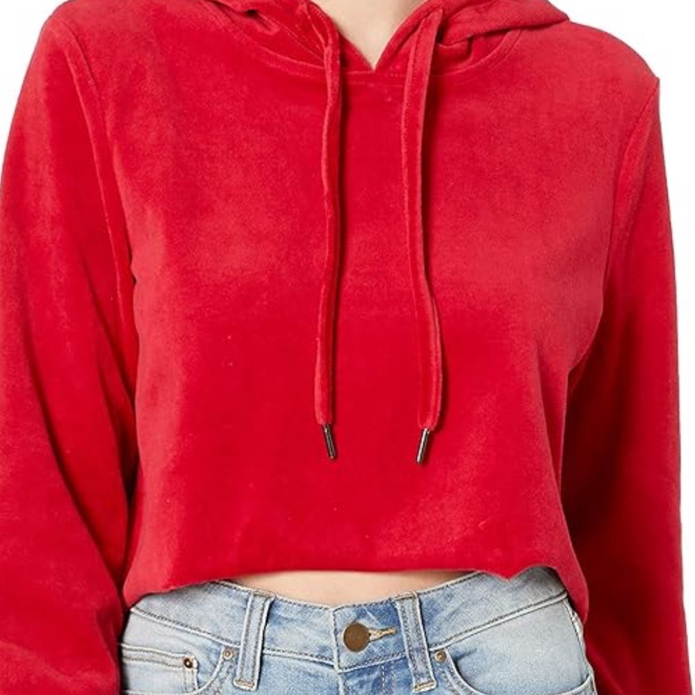 True Religion Velor Cropped Hoodie